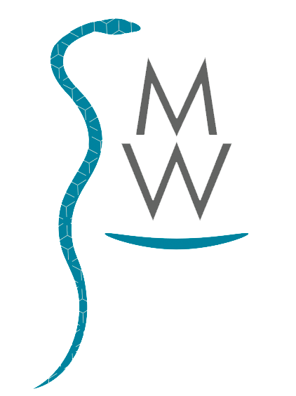 Logo Praxis Weishaupt Mercedes Stuttgart Degerloch Traumatherapie